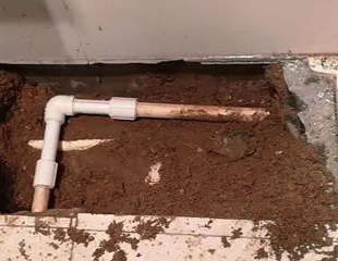 房县测漏水哪家好