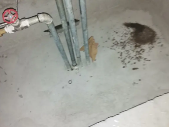 房县卫生间测漏水价格明细