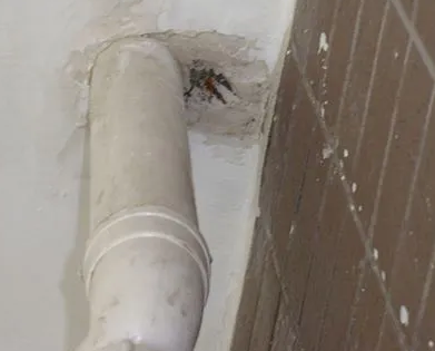 房县漏水检测哪家好